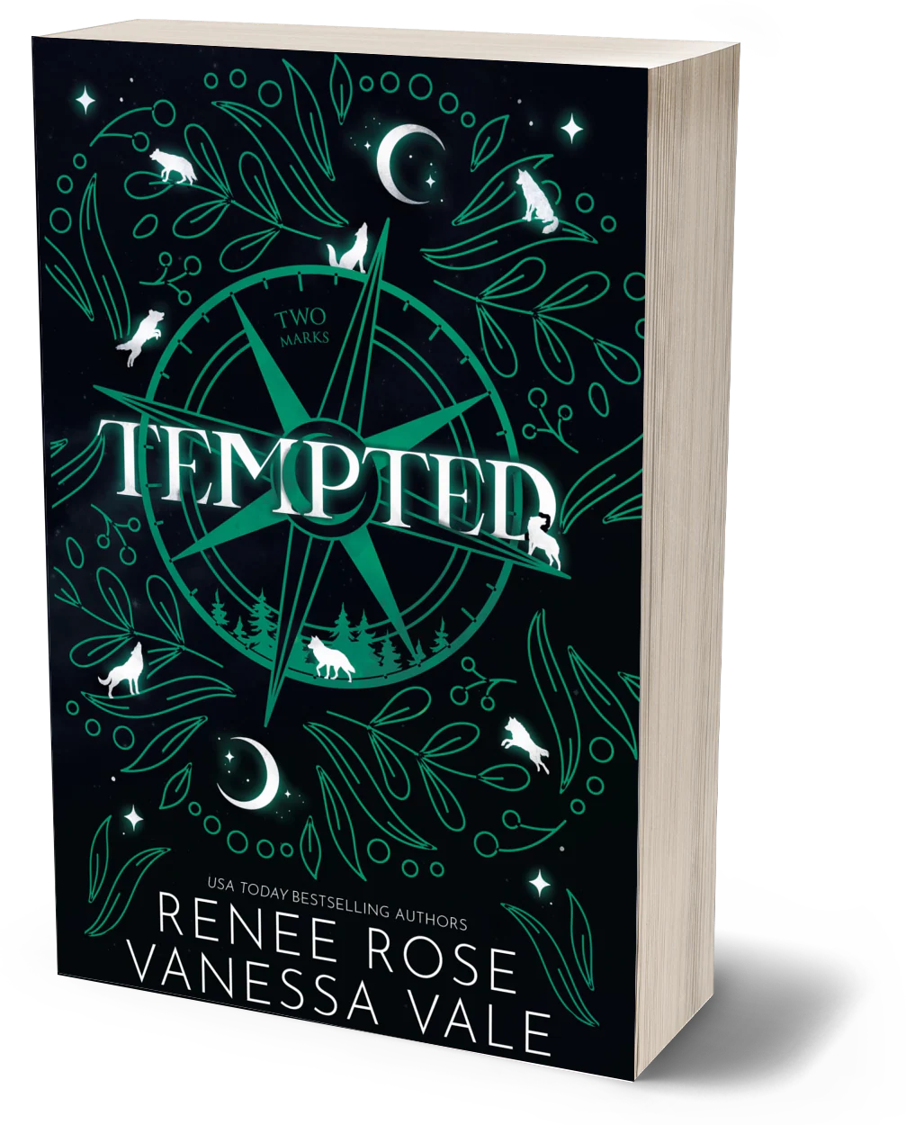 Two Marks Book 2: Tempted - signed paperback - Image 4