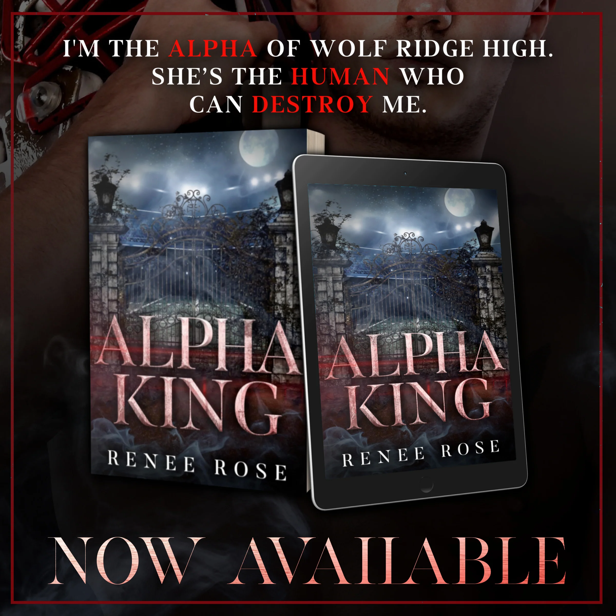Wolf Ridge High Book 4: Alpha King - Signed Paperback - Image 4